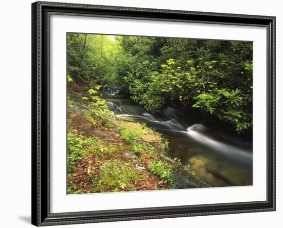 Bad Branch on Pine Mountain, Kentucky, USA-Adam Jones-Framed Photographic Print