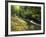 Bad Branch on Pine Mountain, Kentucky, USA-Adam Jones-Framed Photographic Print