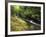 Bad Branch on Pine Mountain, Kentucky, USA-Adam Jones-Framed Photographic Print