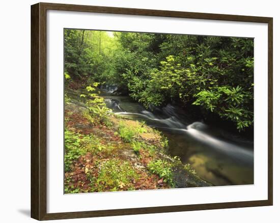 Bad Branch on Pine Mountain, Kentucky, USA-Adam Jones-Framed Photographic Print