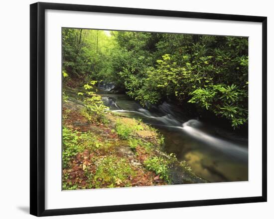 Bad Branch on Pine Mountain, Kentucky, USA-Adam Jones-Framed Photographic Print