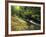 Bad Branch on Pine Mountain, Kentucky, USA-Adam Jones-Framed Photographic Print