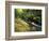 Bad Branch on Pine Mountain, Kentucky, USA-Adam Jones-Framed Photographic Print