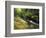 Bad Branch on Pine Mountain, Kentucky, USA-Adam Jones-Framed Photographic Print