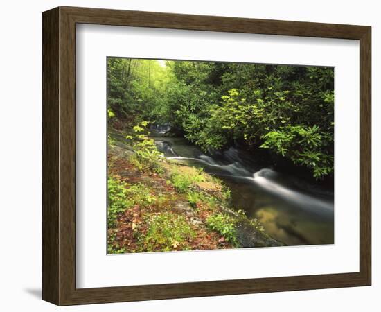 Bad Branch on Pine Mountain, Kentucky, USA-Adam Jones-Framed Photographic Print