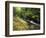 Bad Branch on Pine Mountain, Kentucky, USA-Adam Jones-Framed Photographic Print