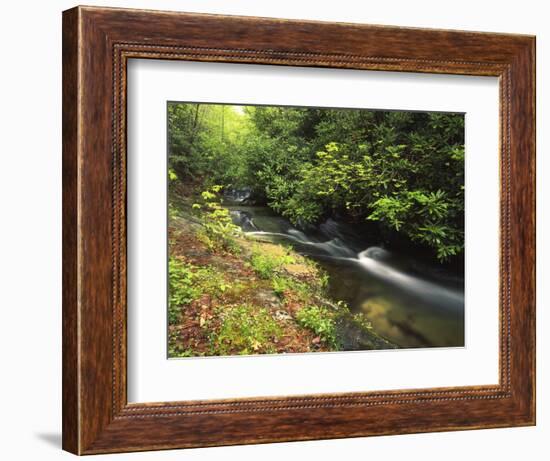 Bad Branch on Pine Mountain, Kentucky, USA-Adam Jones-Framed Photographic Print