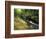 Bad Branch on Pine Mountain, Kentucky, USA-Adam Jones-Framed Photographic Print