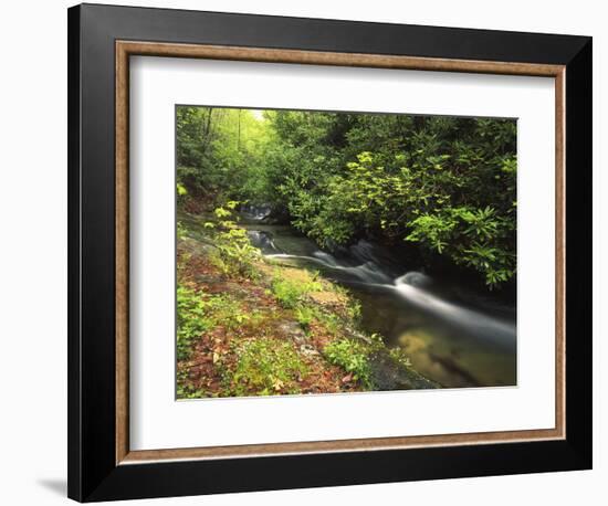 Bad Branch on Pine Mountain, Kentucky, USA-Adam Jones-Framed Photographic Print