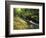 Bad Branch on Pine Mountain, Kentucky, USA-Adam Jones-Framed Photographic Print