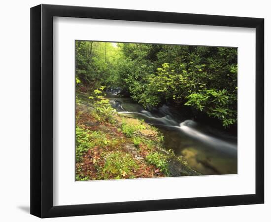 Bad Branch on Pine Mountain, Kentucky, USA-Adam Jones-Framed Photographic Print