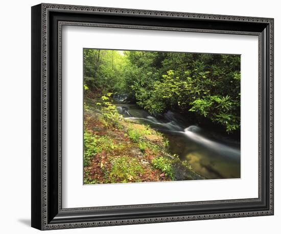 Bad Branch on Pine Mountain, Kentucky, USA-Adam Jones-Framed Photographic Print