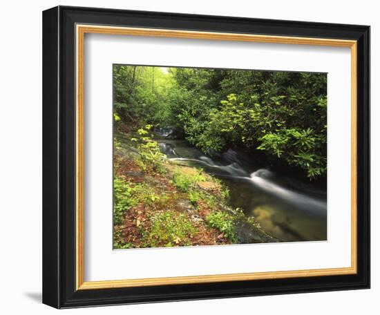 Bad Branch on Pine Mountain, Kentucky, USA-Adam Jones-Framed Photographic Print