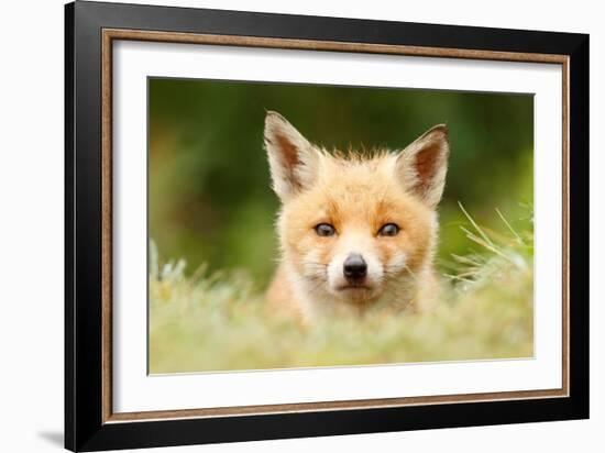 Bad Fur Day-Roeselien Raimond-Framed Art Print