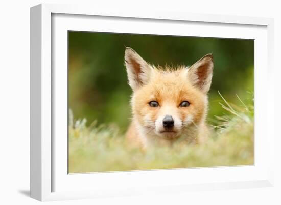 Bad Fur Day-Roeselien Raimond-Framed Art Print