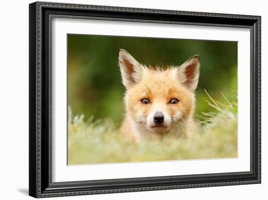 Bad Fur Day-Roeselien Raimond-Framed Art Print