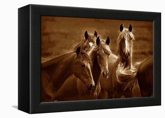 Bad Girls-Tony Stromberg-Framed Premier Image Canvas