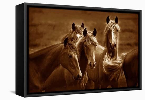 Bad Girls-Tony Stromberg-Framed Premier Image Canvas