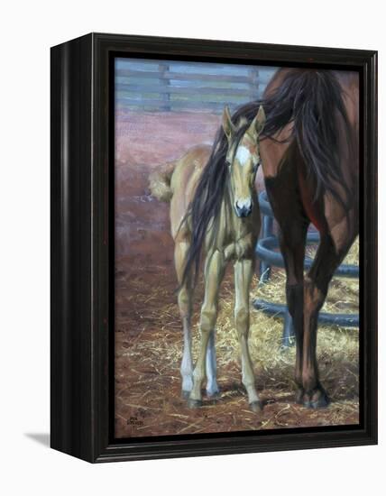 Bad Hair Day-Jack Sorenson-Framed Stretched Canvas