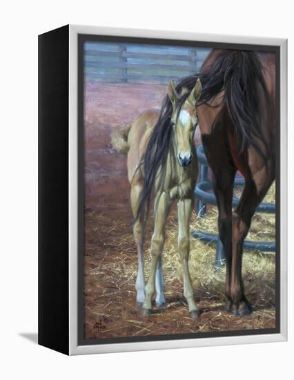 Bad Hair Day-Jack Sorenson-Framed Stretched Canvas