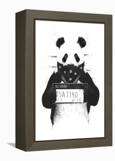 Bad Panda-Balazs Solti-Framed Premier Image Canvas