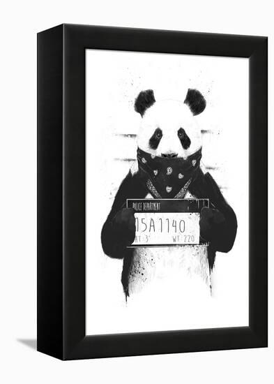 Bad Panda-Balazs Solti-Framed Premier Image Canvas