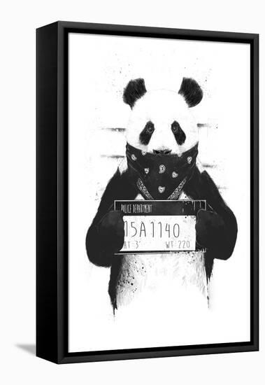 Bad Panda-Balazs Solti-Framed Premier Image Canvas