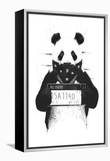 Bad Panda-Balazs Solti-Framed Premier Image Canvas