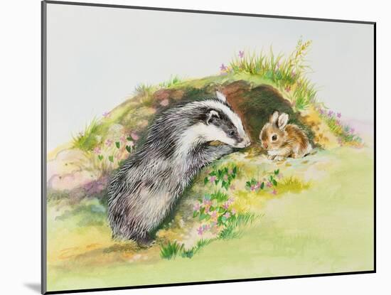 Badger and a Rabbit-Diane Matthes-Mounted Giclee Print