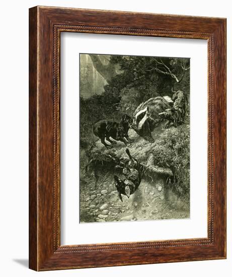 Badger Austria 1891-null-Framed Giclee Print