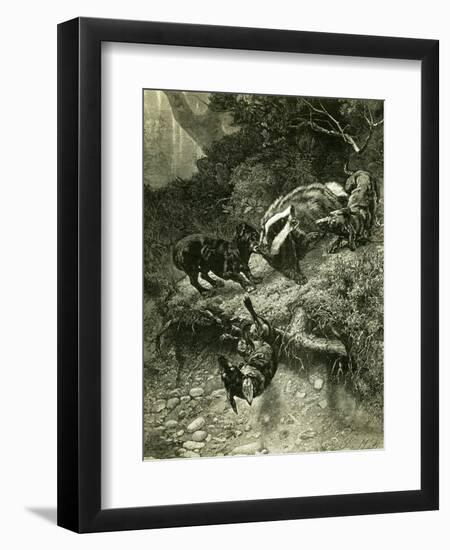 Badger Austria 1891-null-Framed Giclee Print