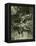 Badger Austria 1891-null-Framed Premier Image Canvas