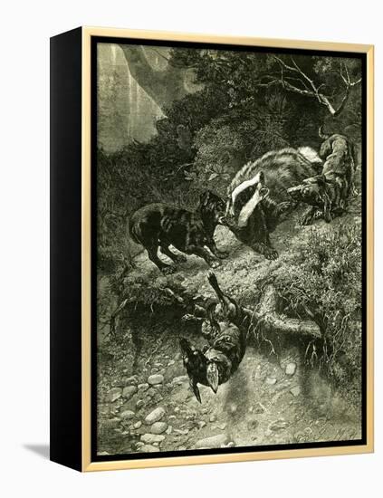 Badger Austria 1891-null-Framed Premier Image Canvas