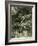 Badger Austria 1891-null-Framed Giclee Print
