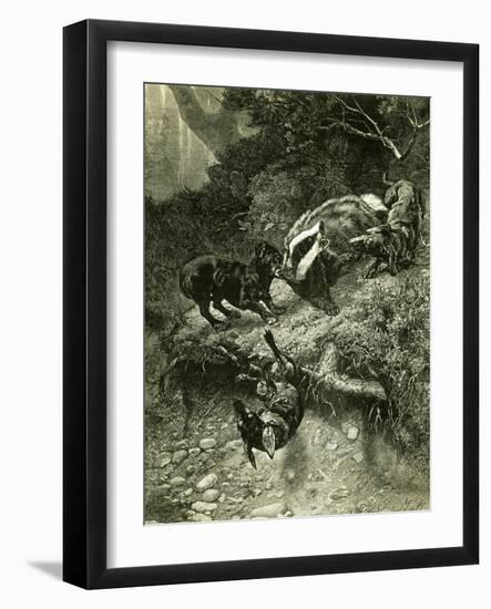 Badger Austria 1891-null-Framed Giclee Print