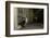 Badger emerging through wall at night, Sheffield, UK-Paul Hobson-Framed Photographic Print