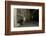 Badger emerging through wall at night, Sheffield, UK-Paul Hobson-Framed Photographic Print