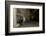 Badger emerging through wall at night, Sheffield, UK-Paul Hobson-Framed Photographic Print