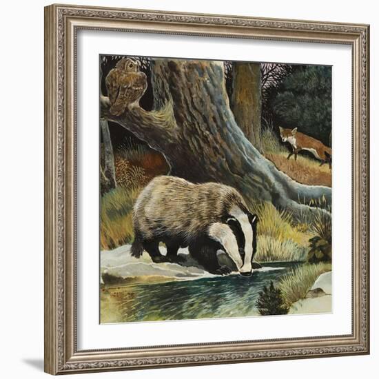 Badger, Fox, Owl and Mouse-null-Framed Giclee Print