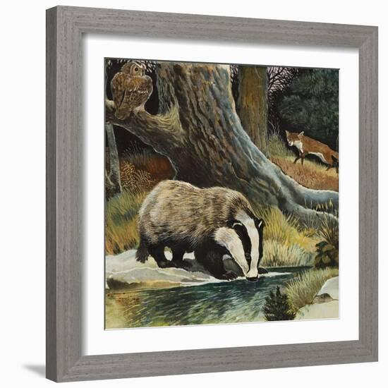 Badger, Fox, Owl and Mouse-null-Framed Giclee Print