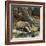 Badger, Fox, Owl and Mouse-null-Framed Giclee Print