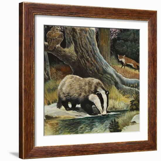 Badger, Fox, Owl and Mouse-null-Framed Giclee Print