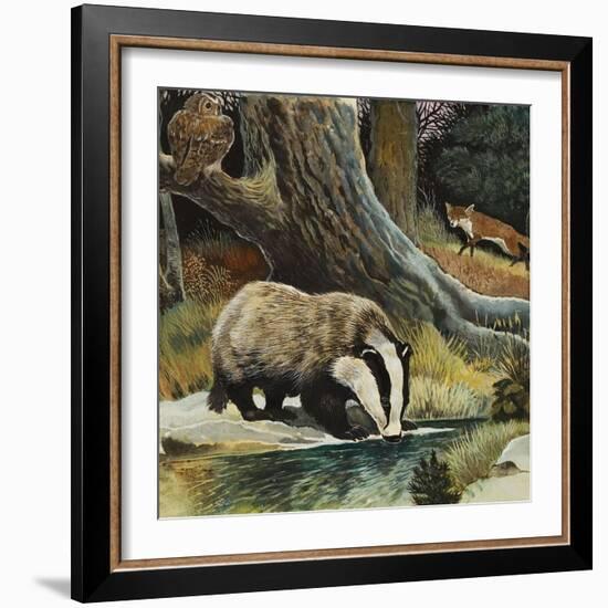 Badger, Fox, Owl and Mouse-null-Framed Giclee Print