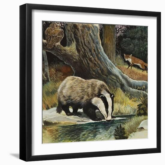 Badger, Fox, Owl and Mouse-null-Framed Giclee Print