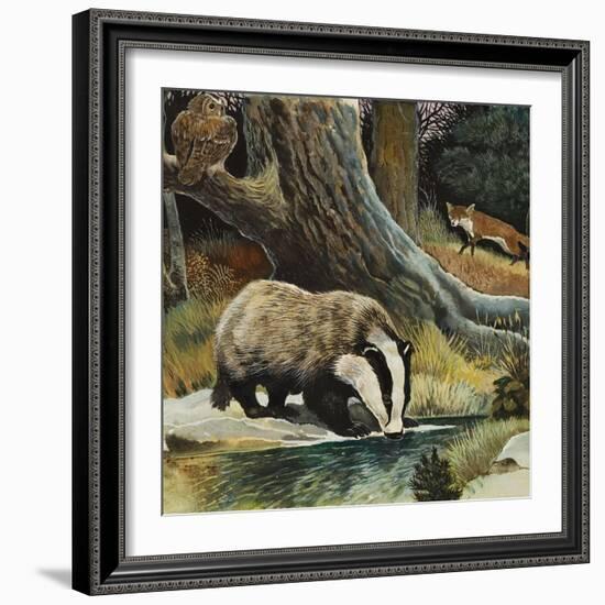 Badger, Fox, Owl and Mouse-null-Framed Giclee Print