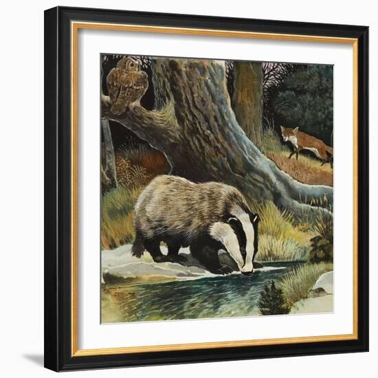 Badger, Fox, Owl and Mouse-null-Framed Giclee Print