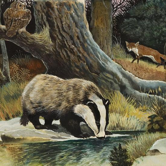 Premium Giclee Print, , large
