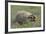 Badger in Meadow-DLILLC-Framed Photographic Print