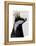 Badger King-Fab Funky-Framed Stretched Canvas