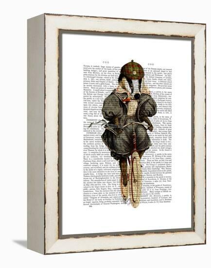 Badger on Vintage Bicycle-Fab Funky-Framed Stretched Canvas